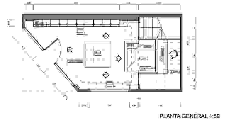 Estudio ZP