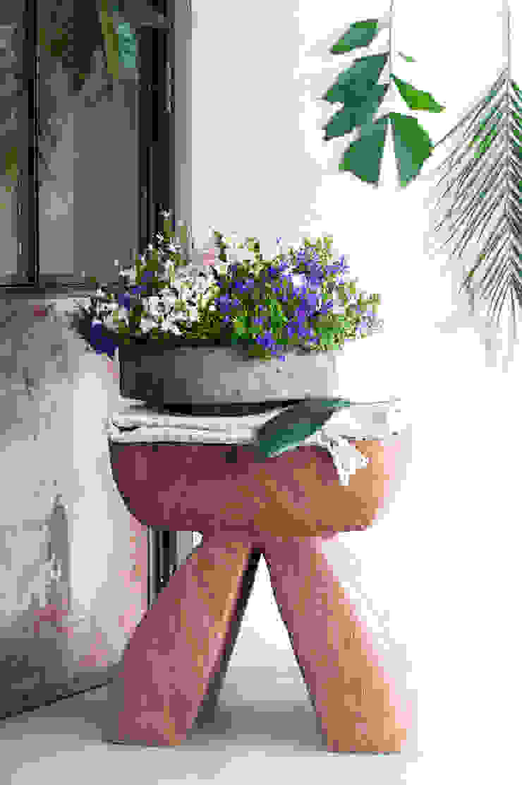 Zimmerpflanzen, Pflanzenfreude.de Pflanzenfreude.de Innengarten Mehrfarbig Zimmerpflanzen,Calla,Glockenblume,Celosie,Topflilie,Ballonblume,Raumbegrünung