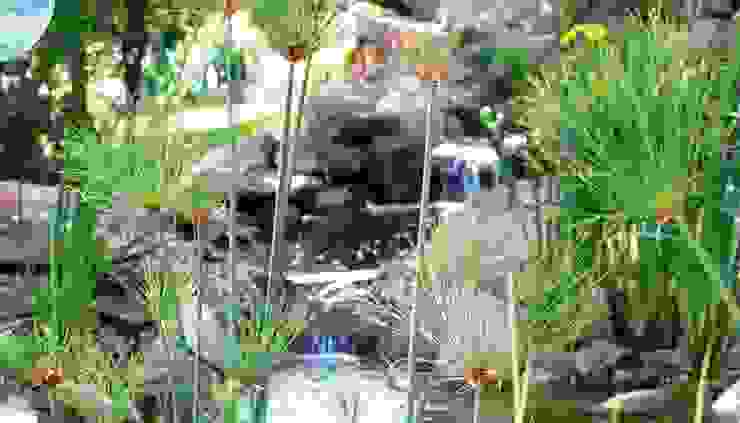 FUENTES Y CASCADAS de jardinista | homify