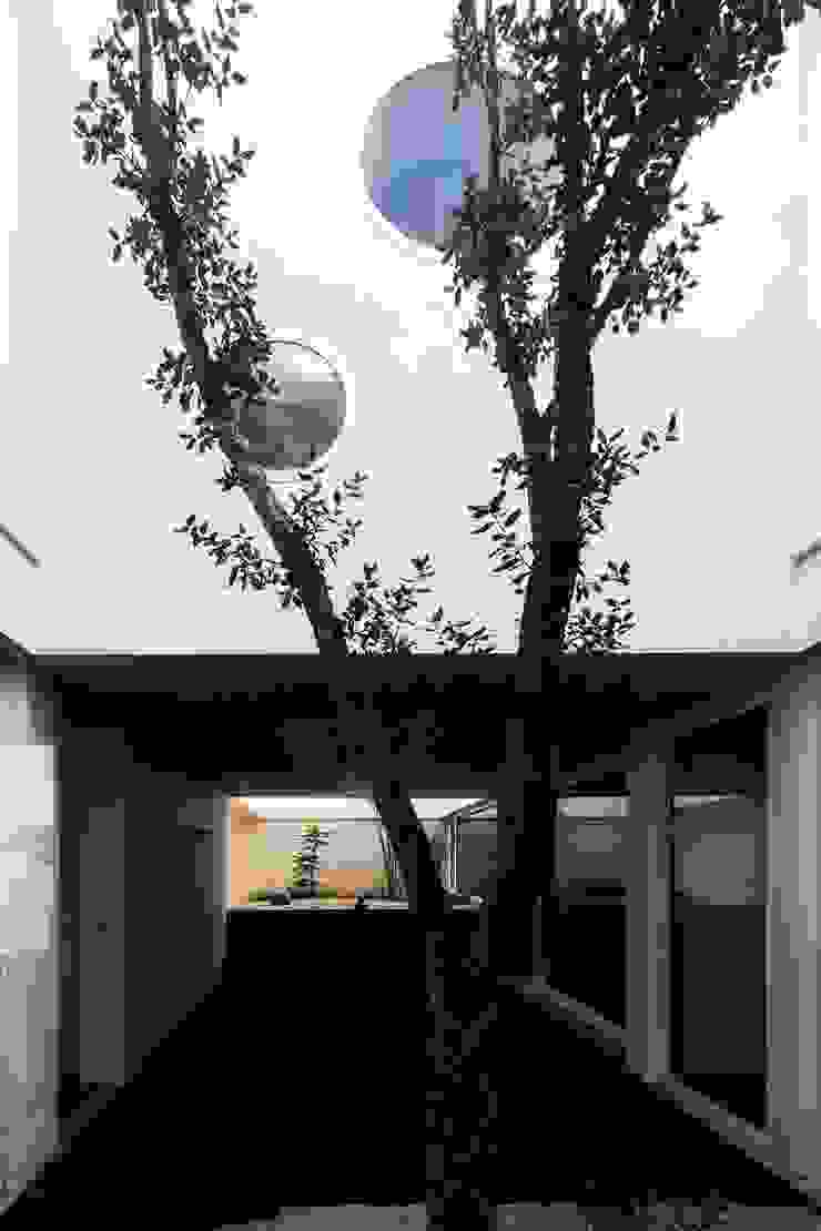 Contaminar Casal Claros Jardins campestres por CONTAMINAR Campestre