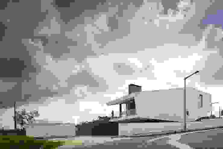 Contaminar Vidigal por CONTAMINAR