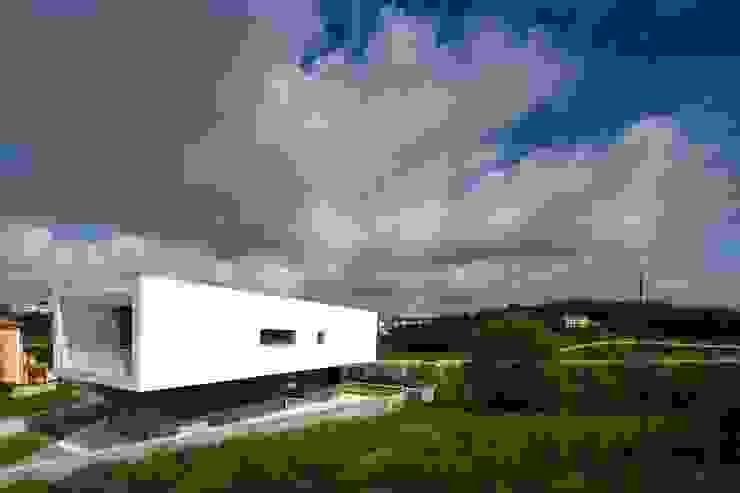 Contaminar Vidigal por CONTAMINAR