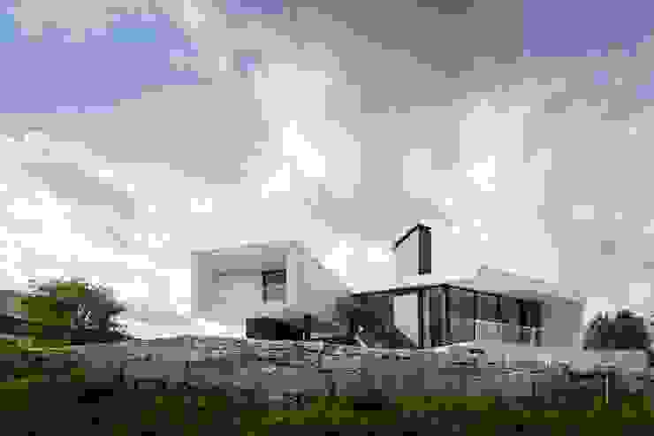 Contaminar Vidigal por CONTAMINAR