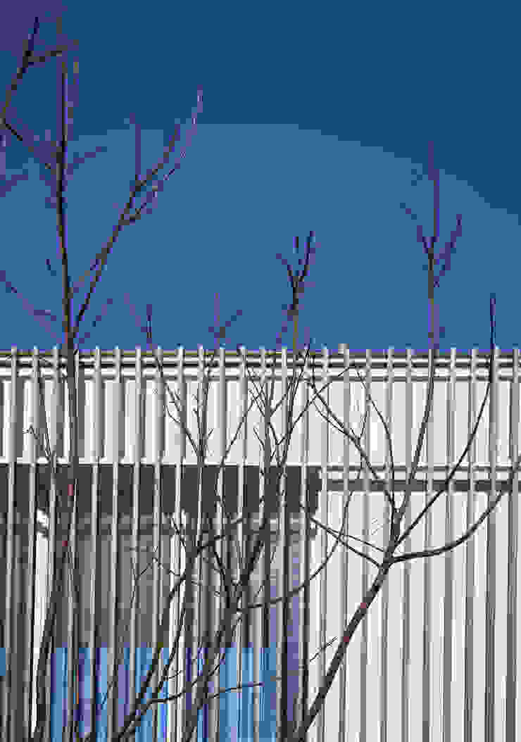 Glocal Architecture Office (G.A.O) 吳宗憲建築師事務所/安藤國際室內裝修工程有限公司 Nowoczesne domy