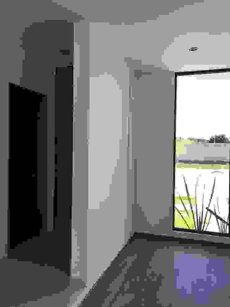 Alfagrama estudio Modern windows & doors Wood Brown