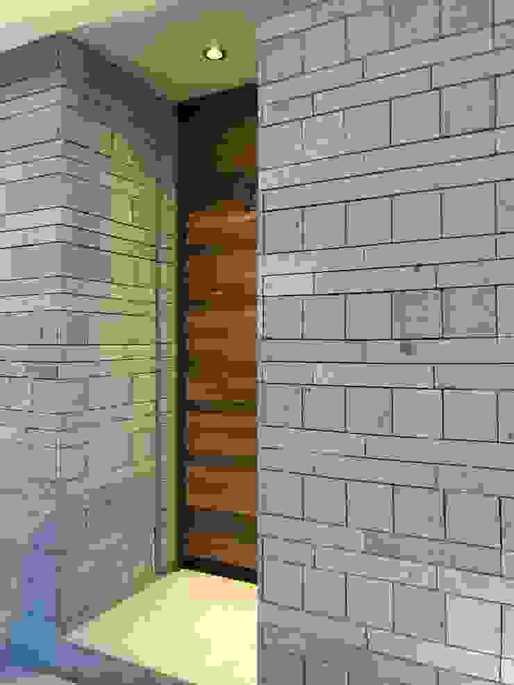Alfagrama estudio Modern windows & doors Wood Wood effect