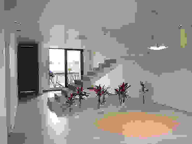Alfagrama estudio