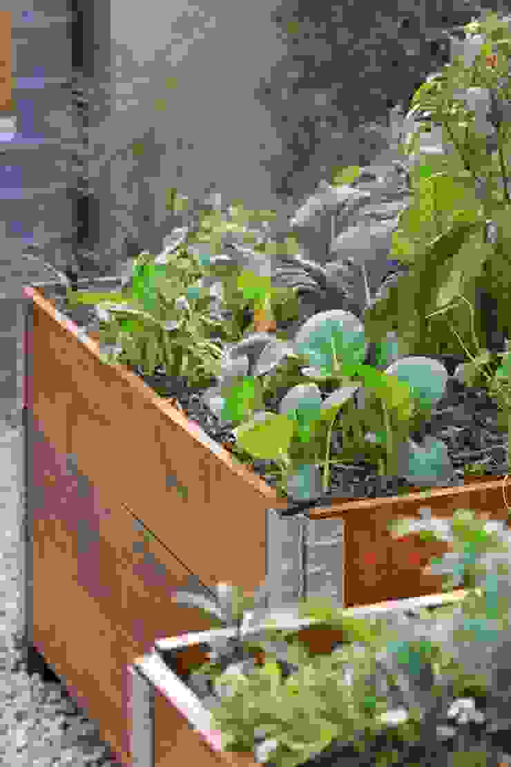 Organic vegetable and herb garden in recycled pallets planter Acton Gardens Industrial style garden Wood Brown