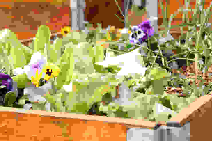 organic vegetable garden Acton Gardens Industrial style garden