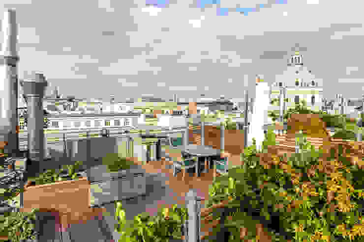 Holzterrasse cy architecture Moderner Balkon, Veranda & Terrasse Dachterrasse,Terrasse,Blick,Wien,Holzdeck,Holz,Thermoesche,Wein,Sichtschutz,Zaun,Ausblick,Bepflanzung