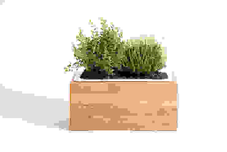 Krauterboxen Fur Die Kuche Aus Massivholz Von Mobelmanufaktur Greenhaus Homify