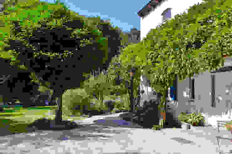 Hauseingang KAISER + KAISER - Visionen für Freiräume GbR Garten im Landhausstil Kugel-Robinie,Hausvorplatz,Blauregen