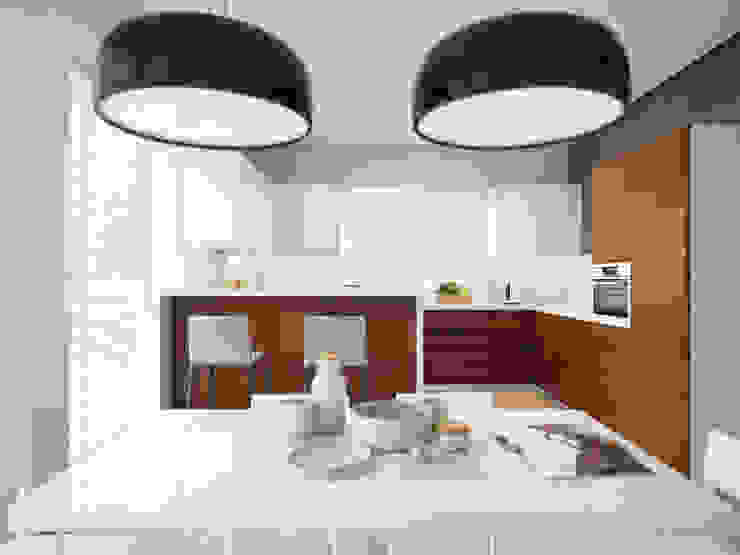 House in Tomsk EVGENY BELYAEV DESIGN Modern Kitchen