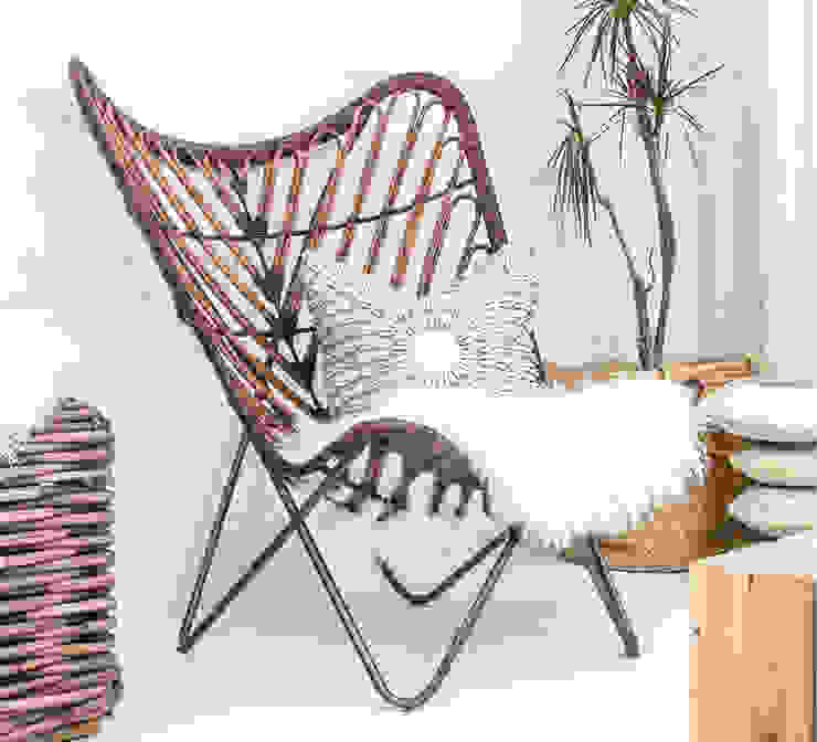 homify