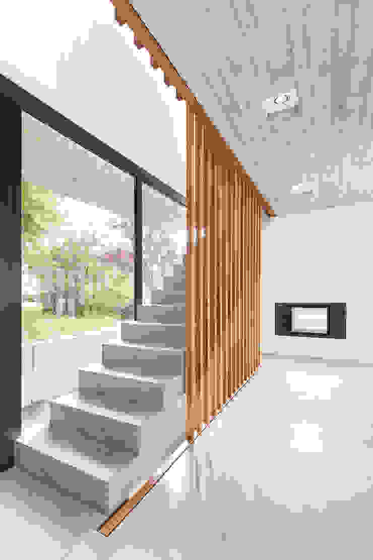 Wohnhaus D FFM-ARCHITEKTEN. Tovar + Tovar PartGmbB Moderne Fenster & Türen einläufige Treppe,Sichtestrich,Kamin,Eingangsbereich,Absturzsicherung,Geländer