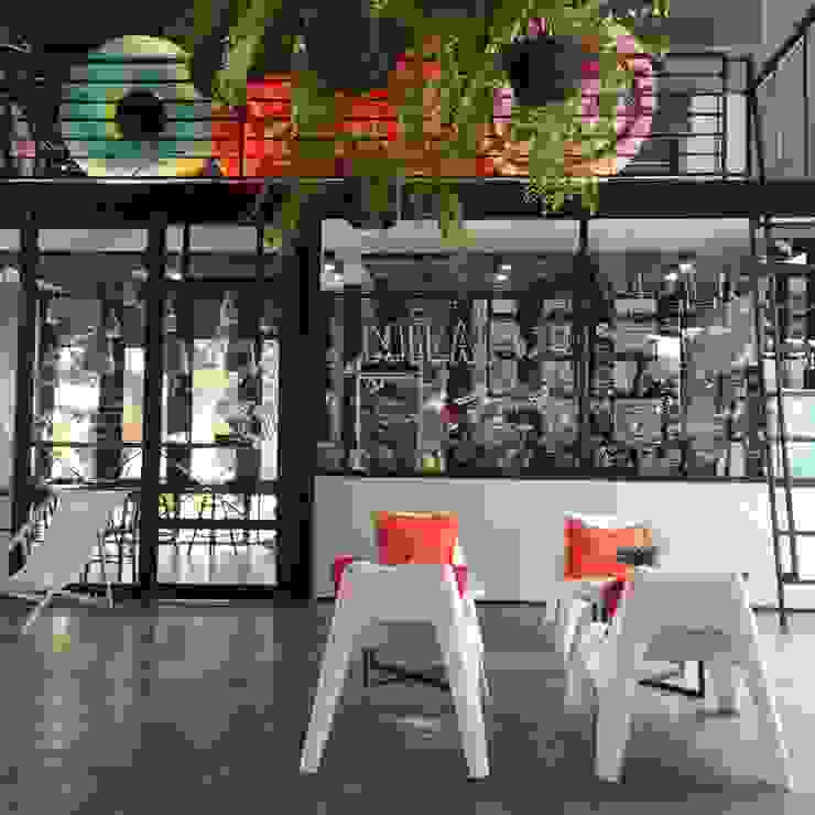 My Image 4