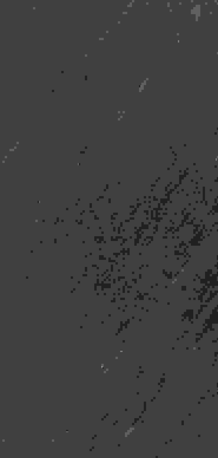 Echtes Steinfurnier Fur Wandgestaltung By Kreos Gmbh Co Kg Homify