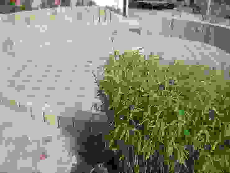 Garten-Landschaftsbau Hierreth-Felser GmbH Giardino moderno