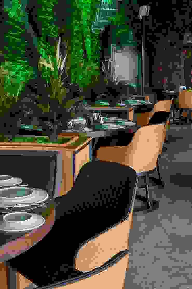 homify