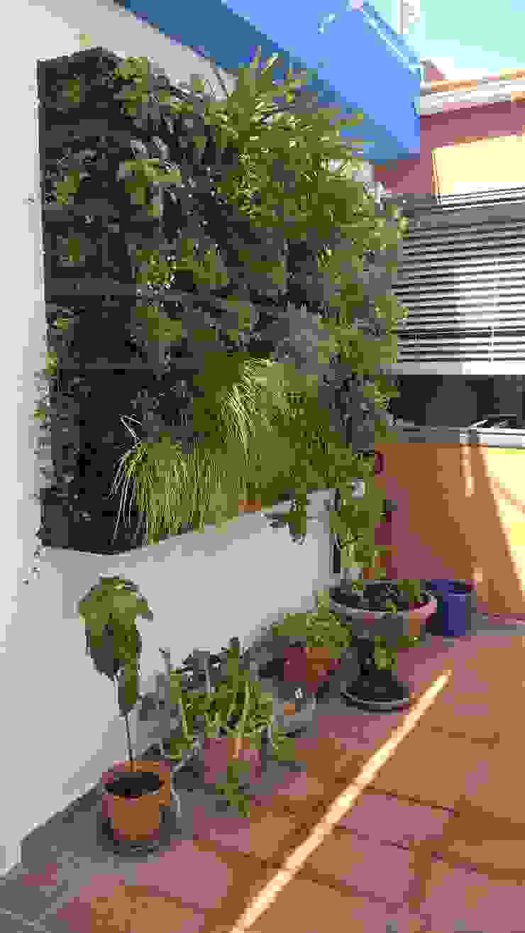 Ubicación. Jardin Vertical con Substrato. GreenerLand. Arquitectura Paisajista y Tematización Jardines de estilo moderno jardin vertical,cubierta verde,fachada,fachada ecologica,fachada ventilada,terraza en la azotea