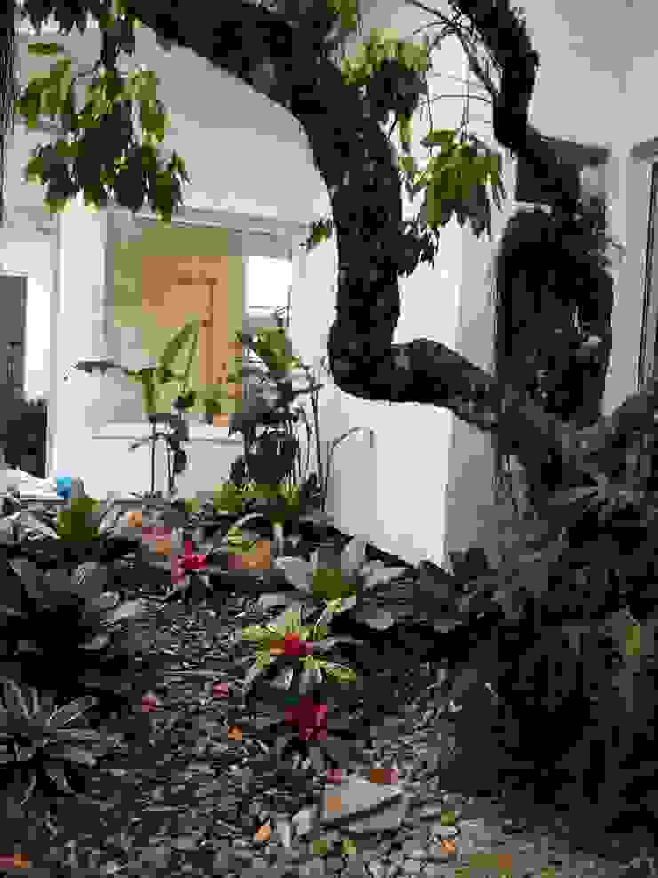 Residencia Coelho, Jardim. STUDIO AGUIAR E DINIS Taman Modern