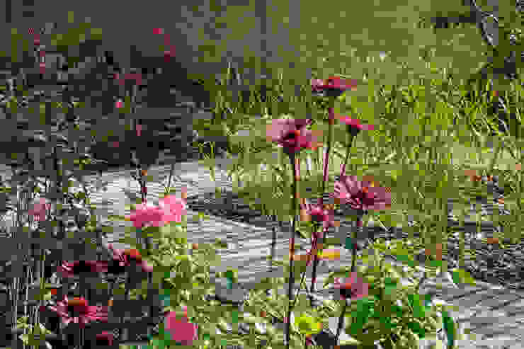 Rosen und Purpursonnenhut guba + sgard Landschaftsarchitekten Moderner Garten Pflanzung,Rosen,Sonnenhut,Stauden