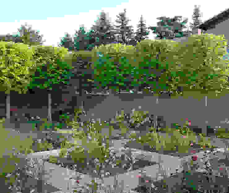 Blick über den Garten guba + sgard Landschaftsarchitekten Moderner Garten Pflanzung,Formgehölze,Mauer