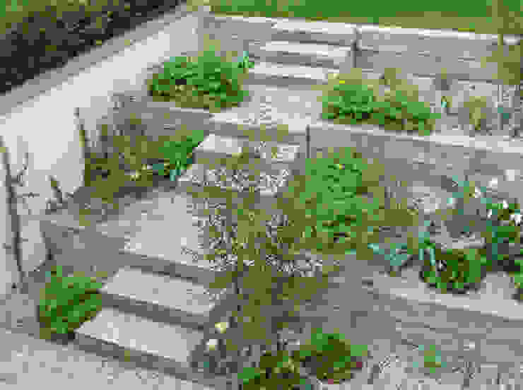Verbindung zur Gartenebene guba + sgard Landschaftsarchitekten Treppe Mauern,Treppen,Blockstufen,Pflanzung