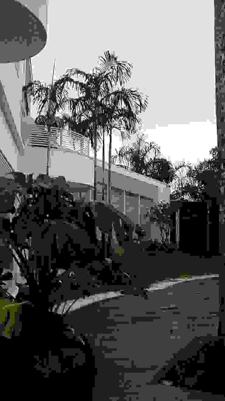 Residencia Alves STUDIO AGUIAR E DINIS Modern garden