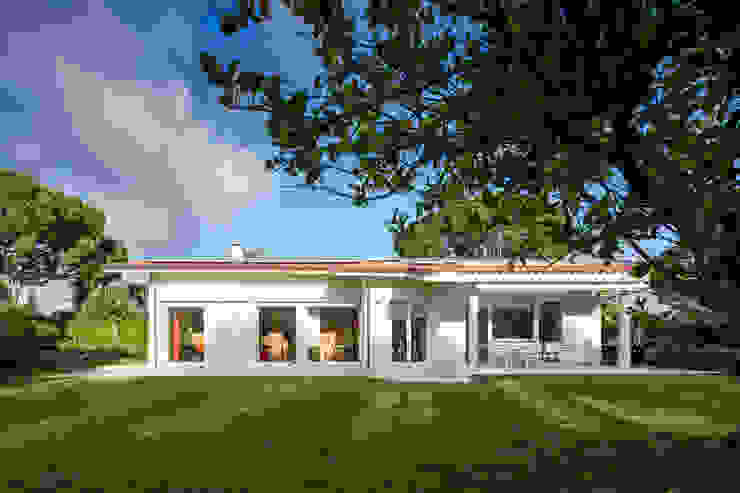 Countryside Villa, Officina29_ARCHITETTI Officina29_ARCHITETTI Modern home