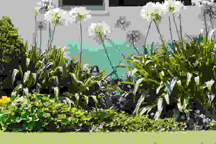 11 ideas fabulosas para mejorar el jardín de tu casa | homify | homify