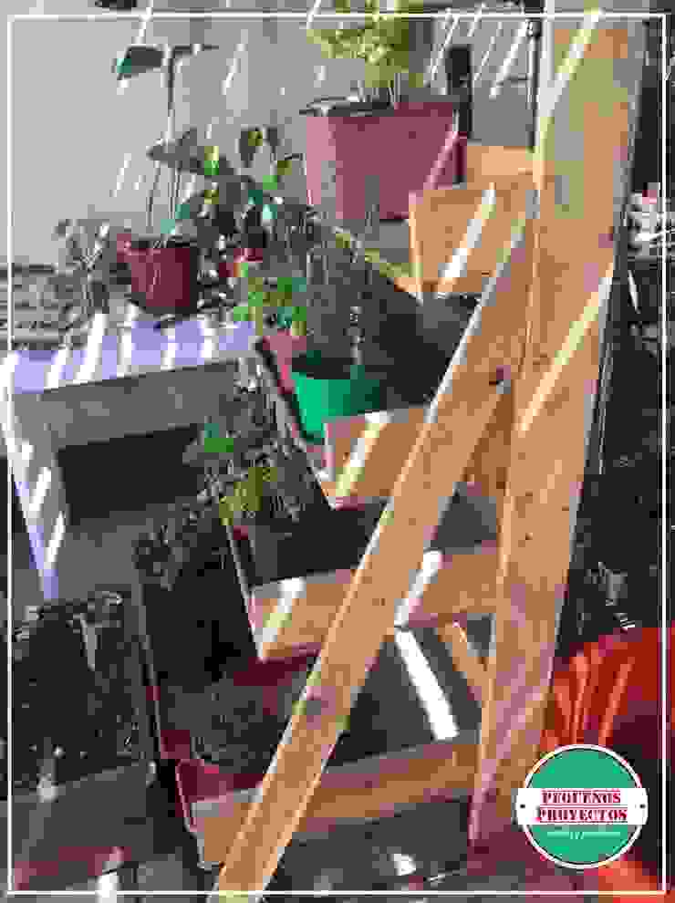 JARDIN ESCALONADO SEVILLA de Pequeños Proyectos | homify