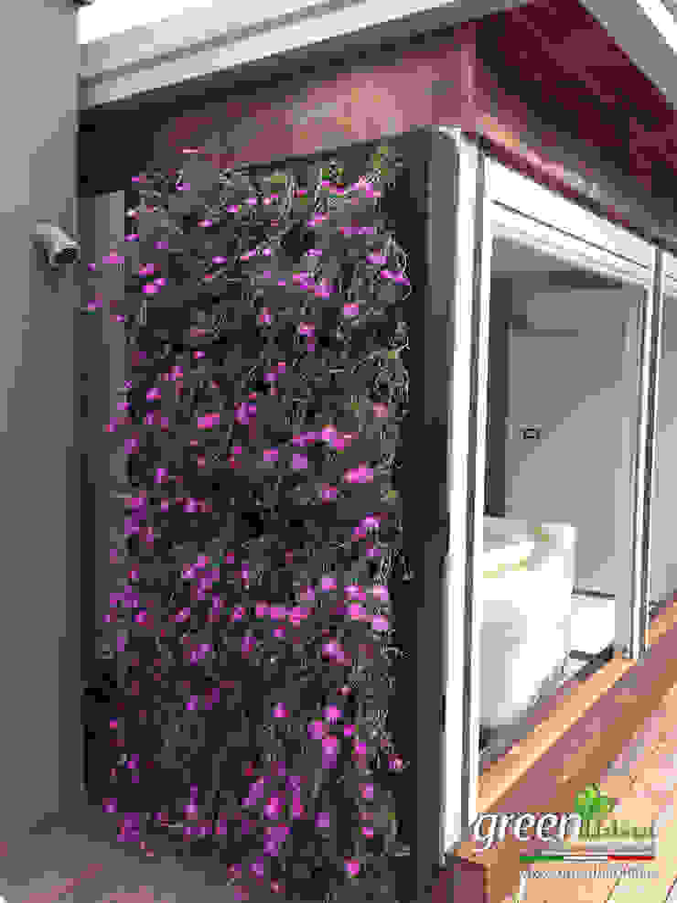 homify モダンスタイルの 温室