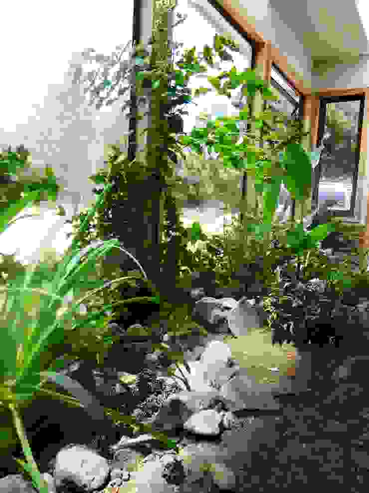 homify