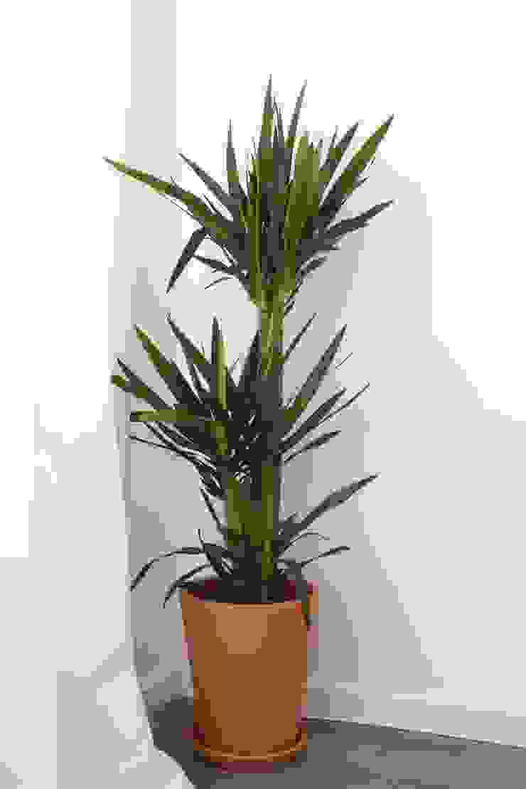 von Rima Design Skandinavisch