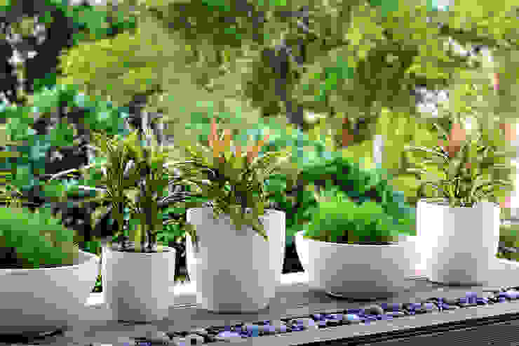 Terrace Garden Decor at Civil Lines, Delhi, Grecor Grecor Mediterraner Balkon, Veranda & Terrasse Holz-Kunststoff-Verbund Weiß