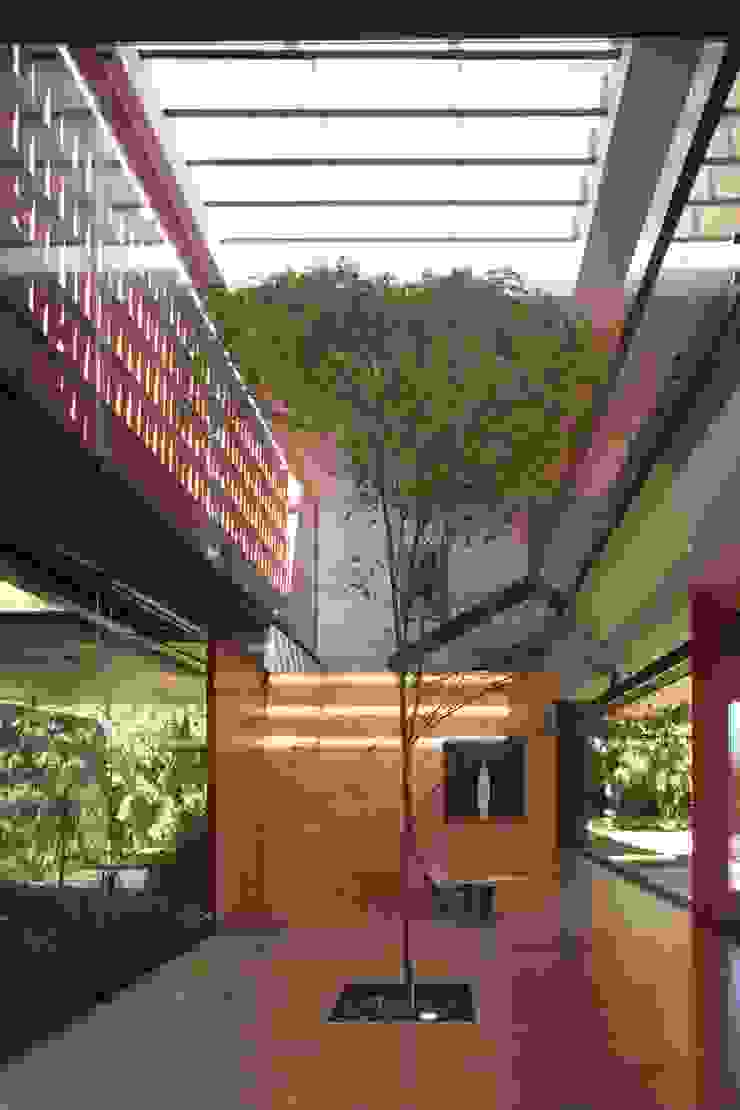 RED HOUSE Hernandez Silva Arquitectos جدران