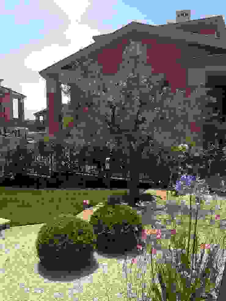 Un giardino mediterraneo AbitoVerde Giardino anteriore giardino interno,giardino,arredamento da giardino,moderno,zen,exterior,balcony,pergola,balcone,roma