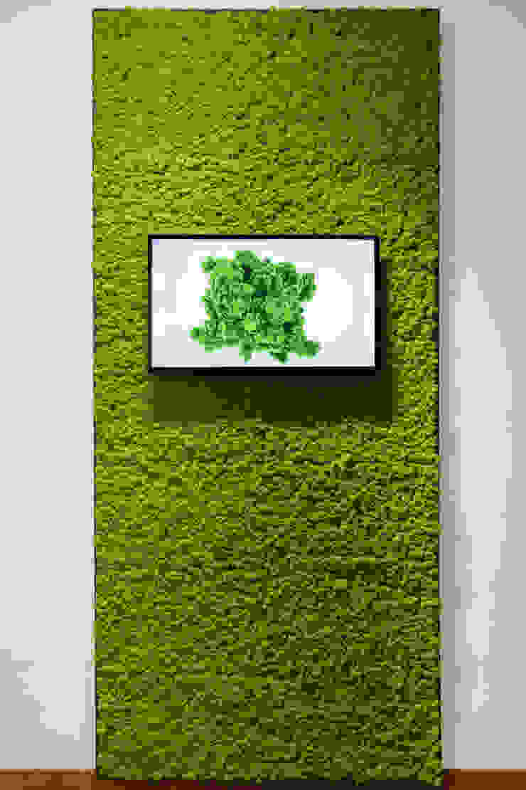 Verde Verticale In Muschio Stabilizzato A Roma Homify