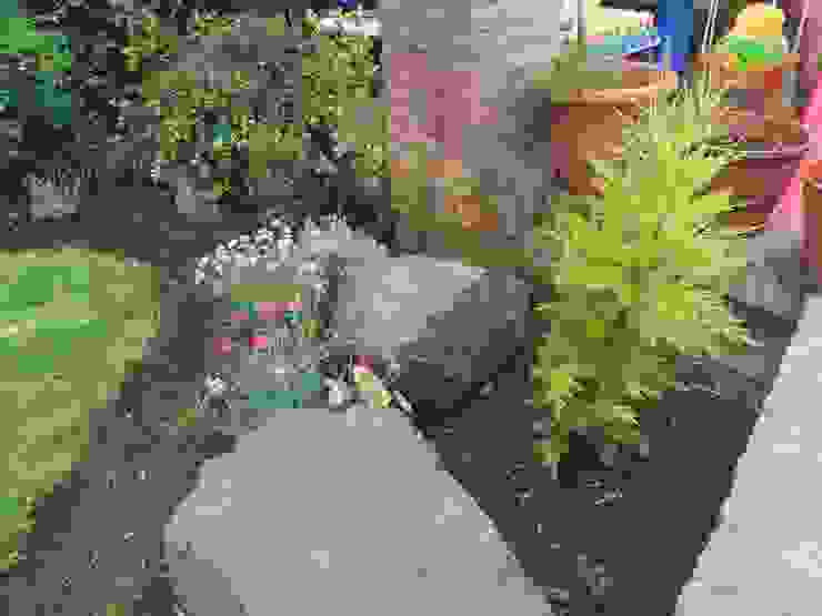 Rincón de piedras y plantas en La Reina homify Antejardines Piedras,Piedras de Jardin,Plantas,Coníferas,Paisajismo
