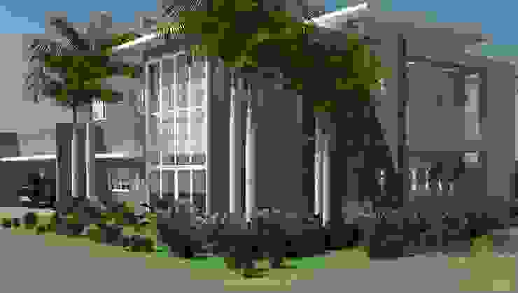 Quais Sao As Principais Arvores Para Calcadas Residenciais 23 Especies Homify