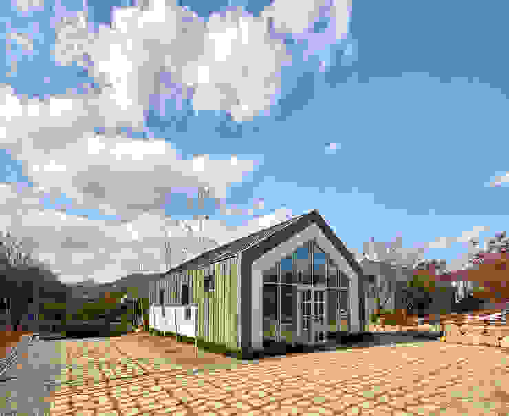 리아네이처 이미지