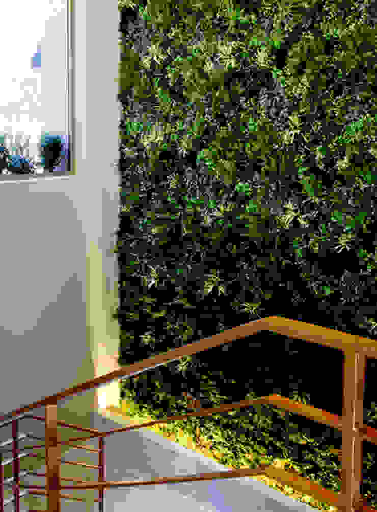 Jardim Vertical - Hotel Tivoli Liberdade, Wonder Wall - Jardins Verticais e Plantas Artificiais Wonder Wall - Jardins Verticais e Plantas Artificiais モダンな庭