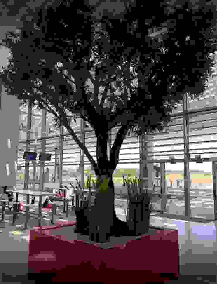 ATELIER SO GREEN Modern hospitals Aluminium/Zinc Red