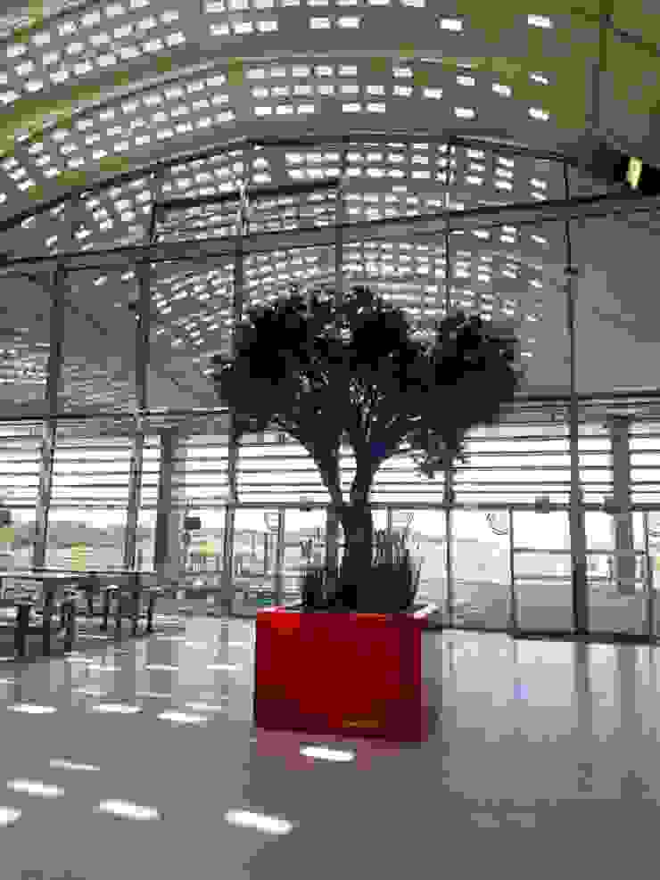 ATELIER SO GREEN Modern airports Aluminium/Zinc Red