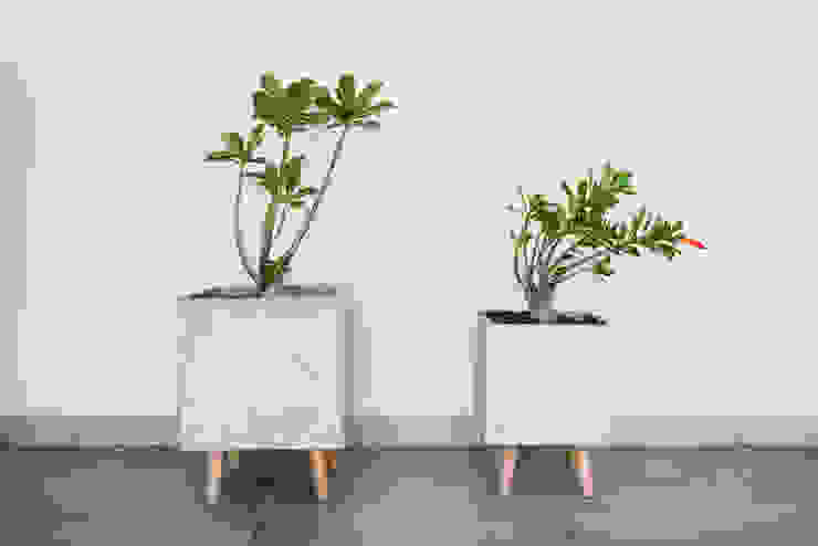 Jardín: ideas para amueblarlo