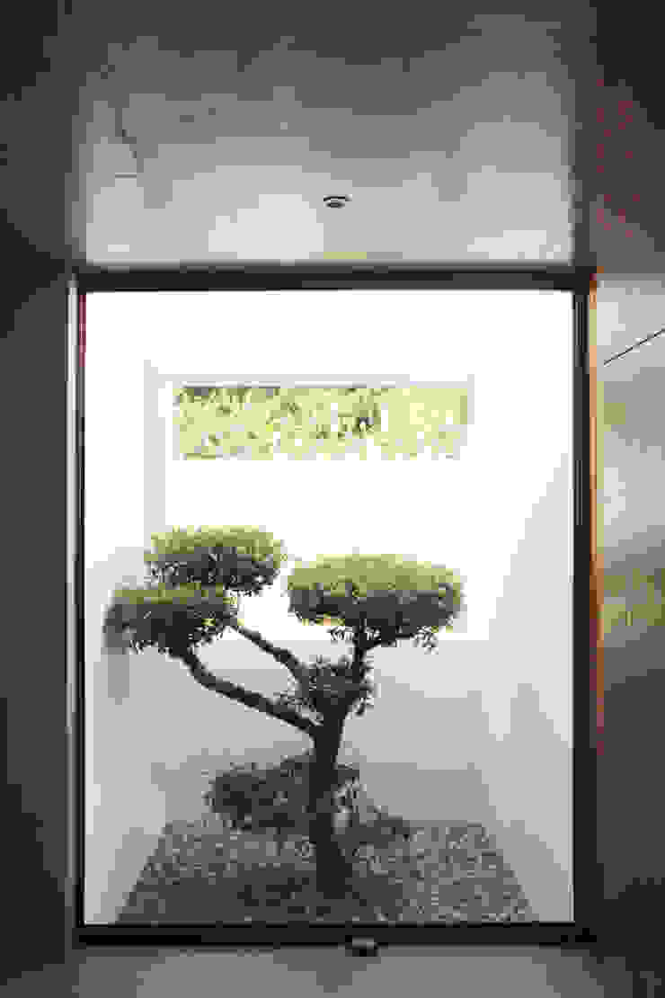 casa coli - interiores, Qiarq . arquitectura+design Qiarq . arquitectura+design 石頭庭院 石器 Beige