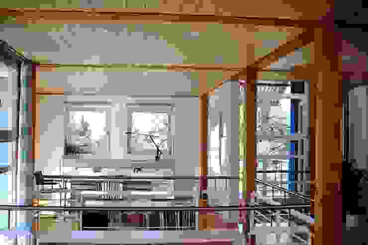 Junker Architekten Studio moderno Legno Blu