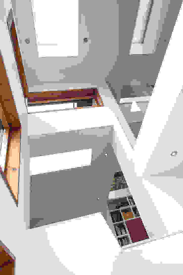 Honor Oak Red Squirrel Architects Ltd Modern corridor, hallway & stairs