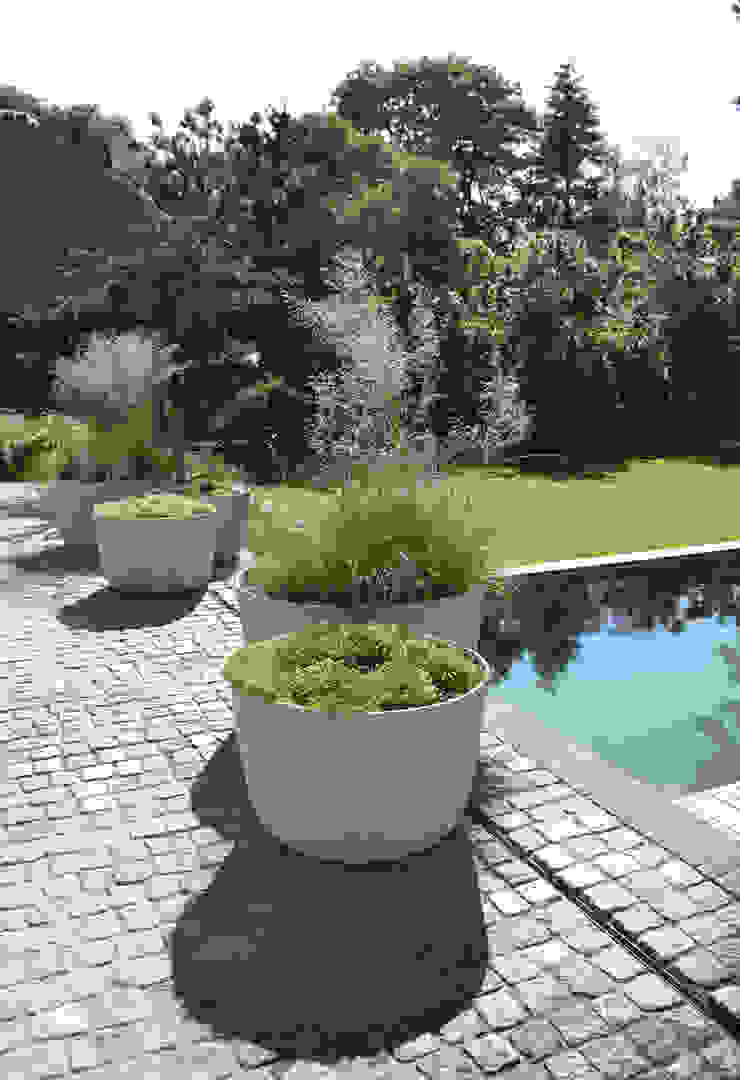 Veld emotie, Andrew van Egmond (ontwerp van tuin en landschap) Andrew van Egmond (ontwerp van tuin en landschap) Minimalistischer Garten